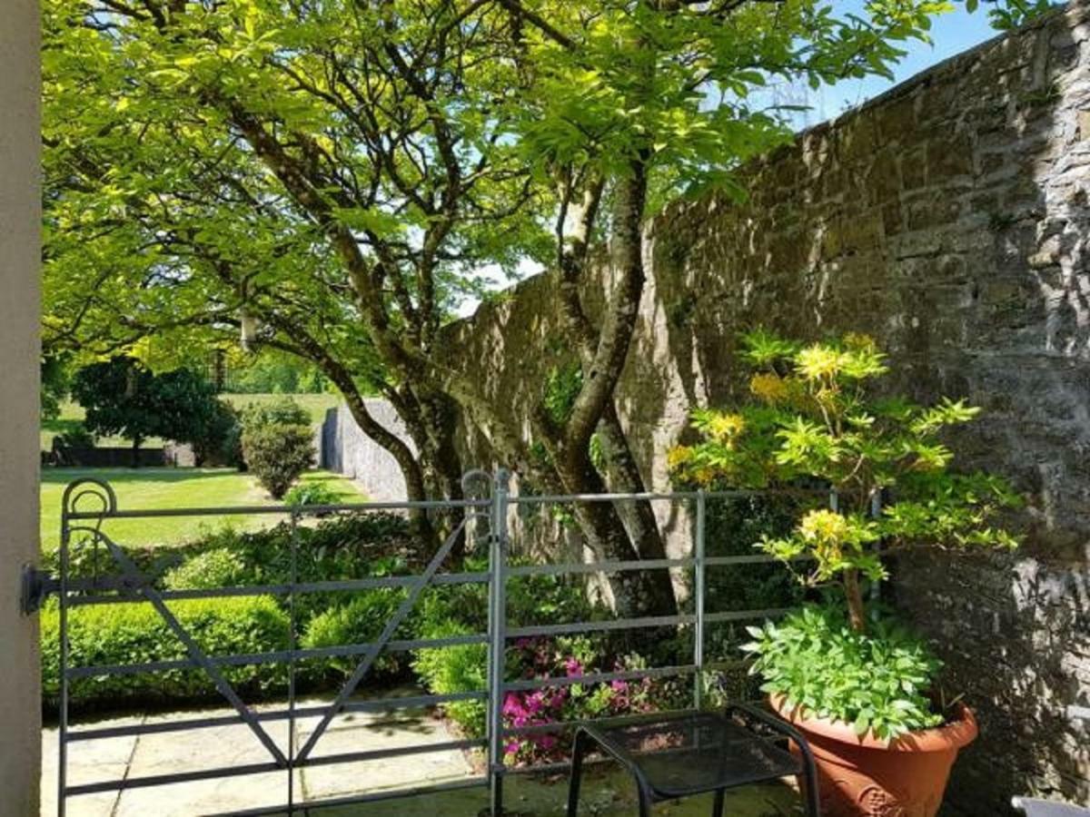 Llwynhelig Manor Bed & Breakfast Ландейло Екстериор снимка