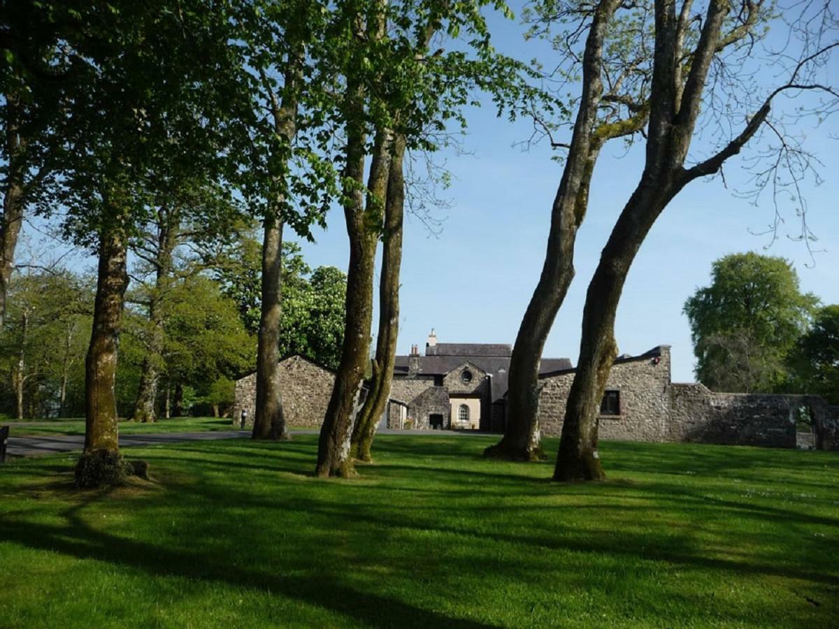 Llwynhelig Manor Bed & Breakfast Ландейло Екстериор снимка
